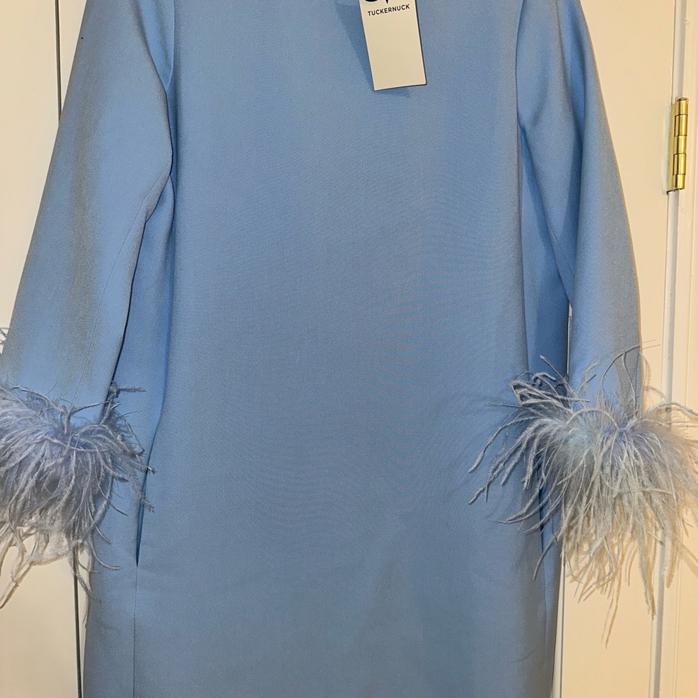 Blue Feather Cuff Dress